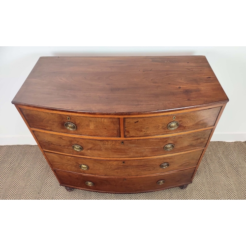 170 - BOWFRONT CHEST, George IV mahogany of five drawers, 104cm H x 107cm W x 52cm D.