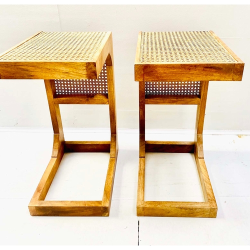 351 - SIDE TABLES, a pair, rattan detail, 60cm H x 30cm W x 40cm D. (2)