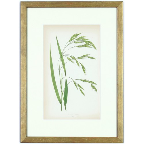 31 - E J LOWE, Grasses, a set of nine botanical prints, circa 1858, 30cm x 23cm each.