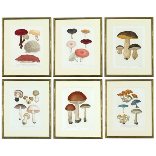 48 - JOSEPH ROQUES, Mushrooms, a set of six, engravings with hand colouring, Victor Masson et fils, 1864,... 