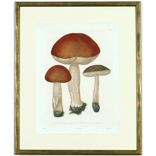 48 - JOSEPH ROQUES, Mushrooms, a set of six, engravings with hand colouring, Victor Masson et fils, 1864,... 