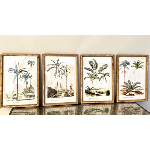 351 - PALM TREES PRINTS, a set of four, in wooden frames, 50cm H x 35cm D. (4)