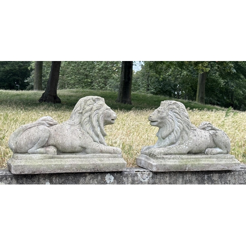 109 - GARDEN LIONS, a pair, well weathered reconstituted stone recumbent, 72cm W x 50cm H. (2)