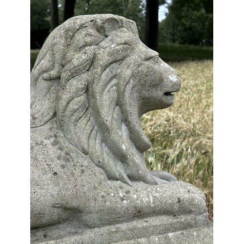 109 - GARDEN LIONS, a pair, well weathered reconstituted stone recumbent, 72cm W x 50cm H. (2)