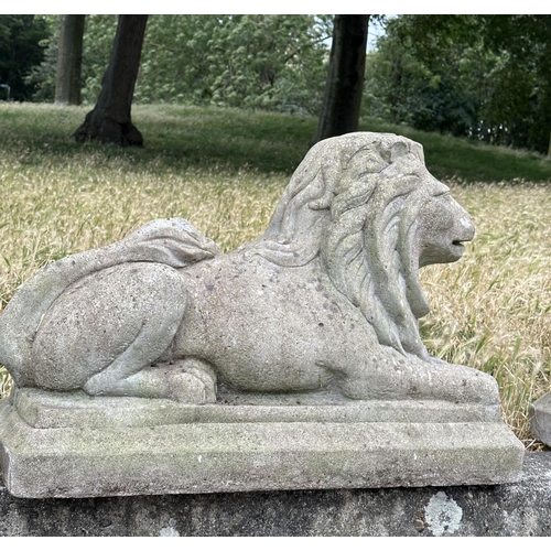 109 - GARDEN LIONS, a pair, well weathered reconstituted stone recumbent, 72cm W x 50cm H. (2)