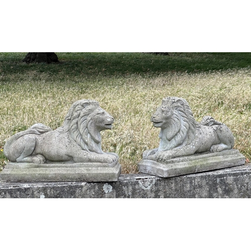 109 - GARDEN LIONS, a pair, well weathered reconstituted stone recumbent, 72cm W x 50cm H. (2)