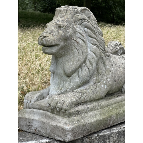 109 - GARDEN LIONS, a pair, well weathered reconstituted stone recumbent, 72cm W x 50cm H. (2)