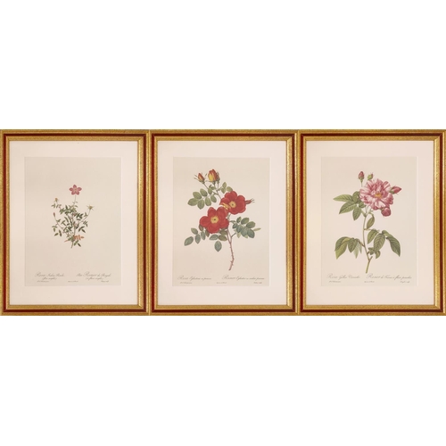 68 - AFTER PIERRE-JOSEPH REDOUTE, a set of six botanical lithographs, 36cm x 26cm.