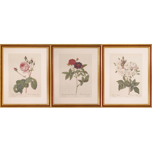 68 - AFTER PIERRE-JOSEPH REDOUTE, a set of six botanical lithographs, 36cm x 26cm.