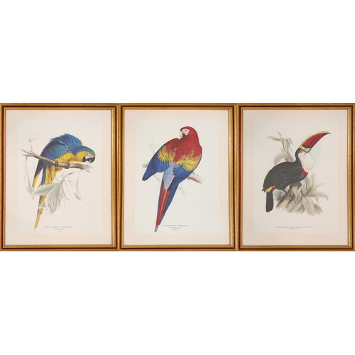 69 - THREE PRINTS HAND COLOURED LITHOGRAPHS OF PARROTS BY EDWARDS LEAR.