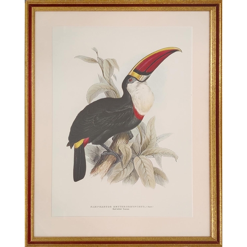 69 - THREE PRINTS HAND COLOURED LITHOGRAPHS OF PARROTS BY EDWARDS LEAR.