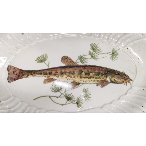 11 - A RICHARD GINORI ICHTHYOLOGICAL PORCELAIN DINNER SERVICE, comprising 24 dinner plates, 30 soup bowls... 