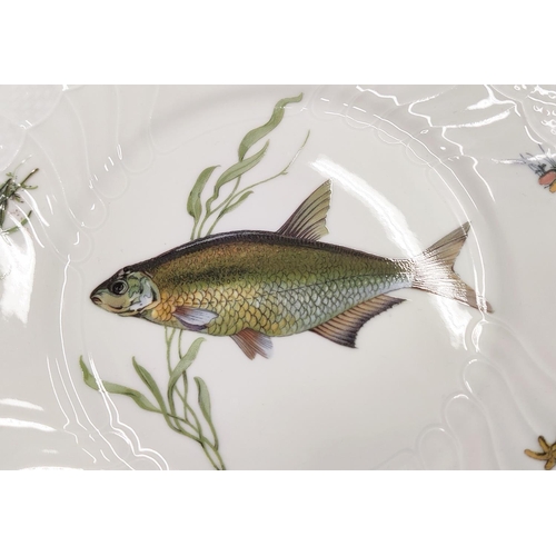 11 - A RICHARD GINORI ICHTHYOLOGICAL PORCELAIN DINNER SERVICE, comprising 24 dinner plates, 30 soup bowls... 