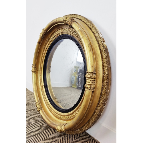 231 - CONVEX MIRROR, Regency giltwood, gesso, and ebonised, 82cm D.