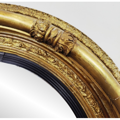 231 - CONVEX MIRROR, Regency giltwood, gesso, and ebonised, 82cm D.