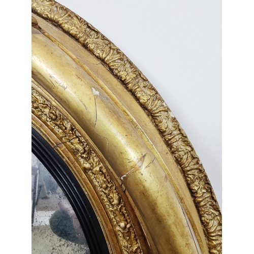 231 - CONVEX MIRROR, Regency giltwood, gesso, and ebonised, 82cm D.