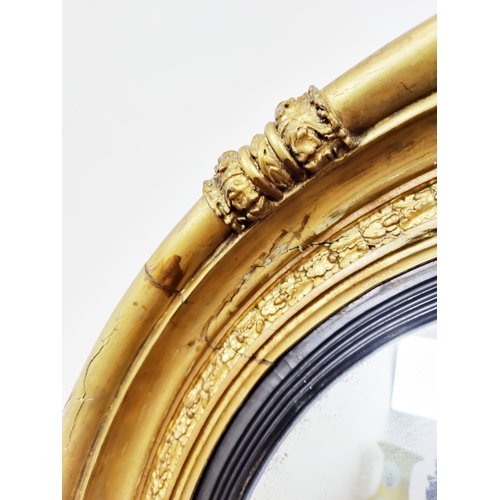 231 - CONVEX MIRROR, Regency giltwood, gesso, and ebonised, 82cm D.