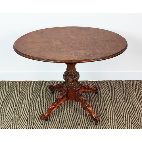 241 - PEDESTAL TABLE, 19th century Continental burr walnut with oval tilt top, carved legs and castors, 74... 