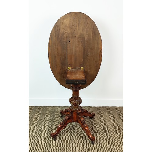 241 - PEDESTAL TABLE, 19th century Continental burr walnut with oval tilt top, carved legs and castors, 74... 