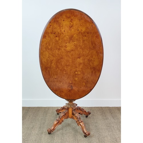 241 - PEDESTAL TABLE, 19th century Continental burr walnut with oval tilt top, carved legs and castors, 74... 