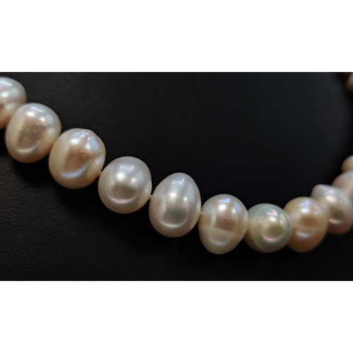 37 - A FRESHWATER WHITE PEARL SINGLE STRAND NECKLACE, fitted with 14mm oval pearls, on a 9ct yellow gold ... 