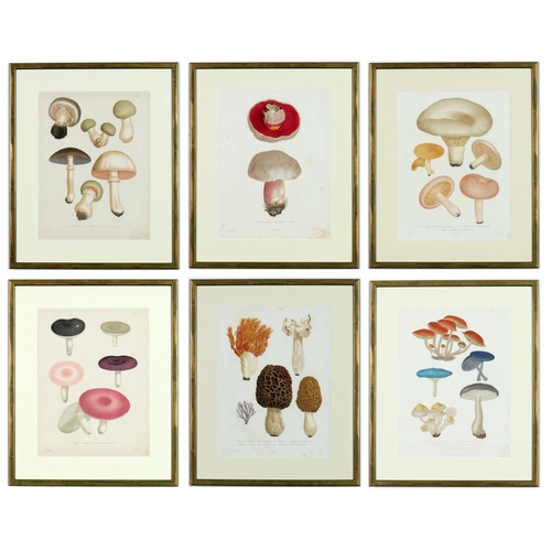 100 - JOSEPH ROQUES, mushrooms, a set of six engravings with hand colouring, Victor Masson et fils Paris, ... 