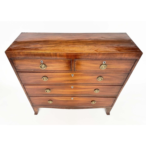 137 - SCOTTISH HALL CHEST, early 19th century Regency Scottish mahogany of adapted shallow proportions, wi... 