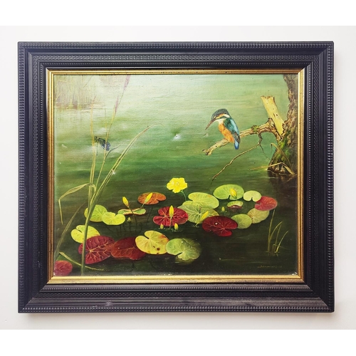 63 - 20TH CENTURY SCHOOL, 'Kingfisher', oil on canvas, indistinctly signed, 49cm x 59cm, framed.