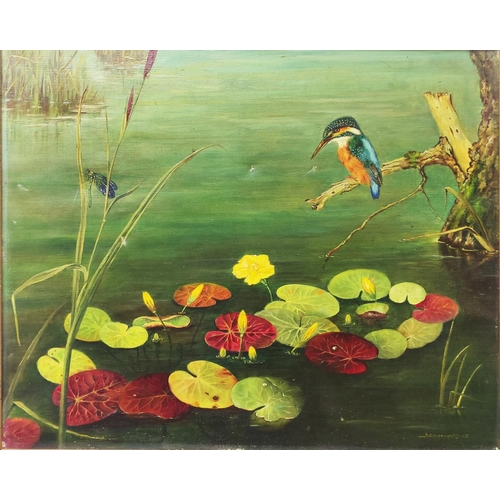 63 - 20TH CENTURY SCHOOL, 'Kingfisher', oil on canvas, indistinctly signed, 49cm x 59cm, framed.