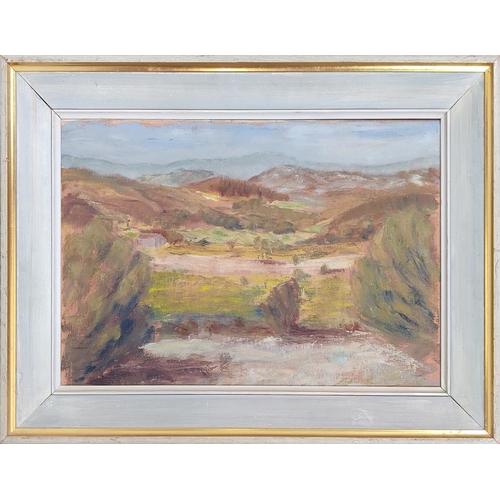 88 - BASIL V CLARK, 'Domaine De Belezy', oil on canvas, 57cm x 36cm, signed, 7.7 led and labelled verso, ... 