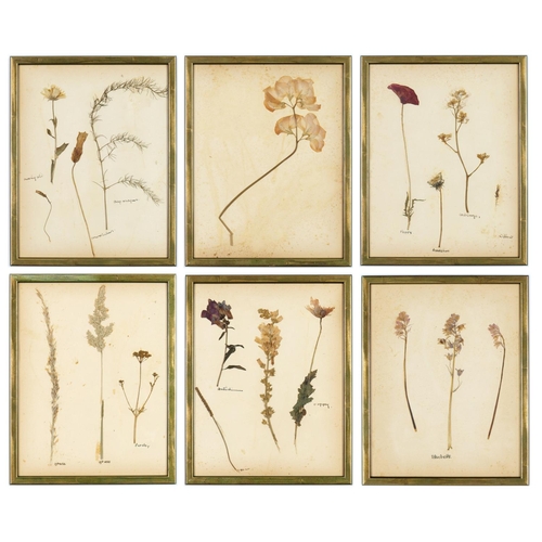 93 - A SET OF SIX BRITISH HERBARIUM, circa 1930's. (6)