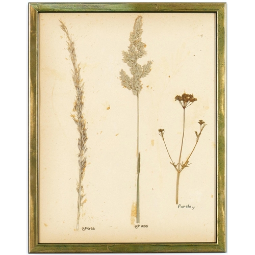 93 - A SET OF SIX BRITISH HERBARIUM, circa 1930's. (6)