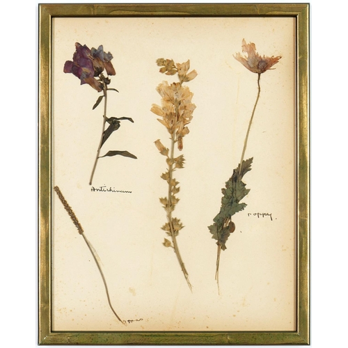 93 - A SET OF SIX BRITISH HERBARIUM, circa 1930's. (6)