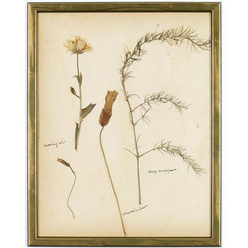 93 - A SET OF SIX BRITISH HERBARIUM, circa 1930's. (6)