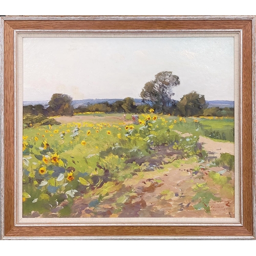 80 - VICTOR KOSHEVOI (1924-2006), 'Sunflowers field', oil on board, 50cm x 60cm.