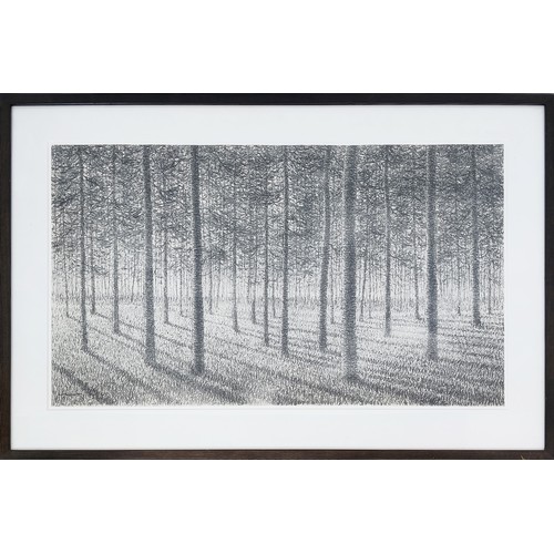 81 - ROY WRIGHT, 'Forest II', charcoal, 85cm x 53cm, signed, framed.