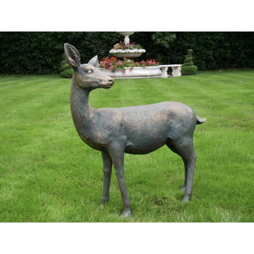 364 - SCULPTURAL STUDY OF A DOE, bronzed finish resin, 90cm x 80cm x 35cm.