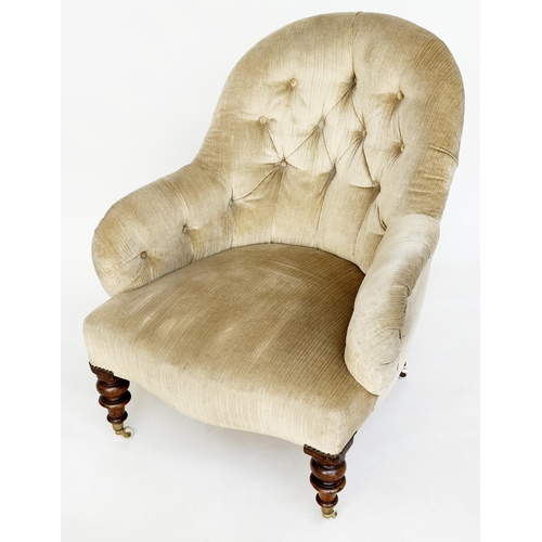 195 - ARMCHAIR, Victorian walnut with velvet cord chenille upholstery, buttoned arch back and turned suppo... 