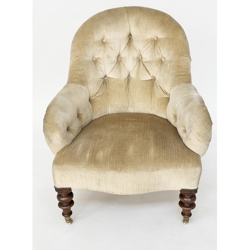 195 - ARMCHAIR, Victorian walnut with velvet cord chenille upholstery, buttoned arch back and turned suppo... 