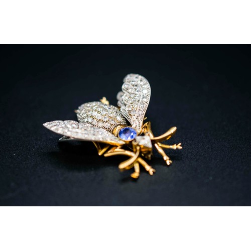 64 - YELLOW METAL SAPPHIRE AND DIAMOND SET INSECT BROOCH, circa 1940, in the form of a fly, possibly 15ct... 