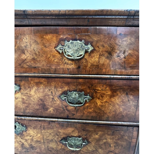 157 - CHEST, early 18th century English Queen Anne figured walnut and crossbanded with two short above thr... 