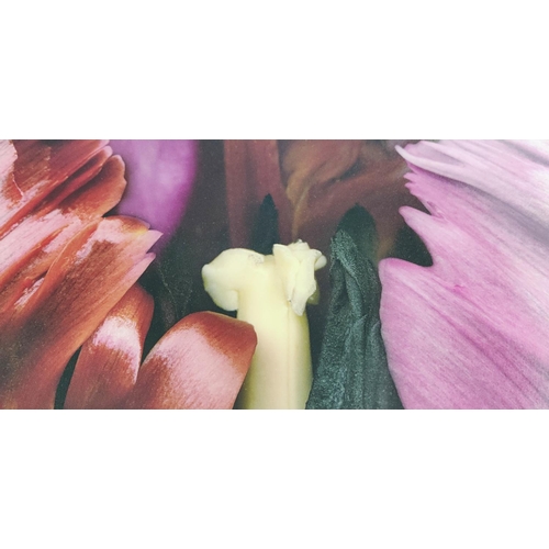 40 - ALLAN FORSYTH, photo print of a tulip, on giclee aluminium, signed to verso 6/25, 85cm x 89cm.