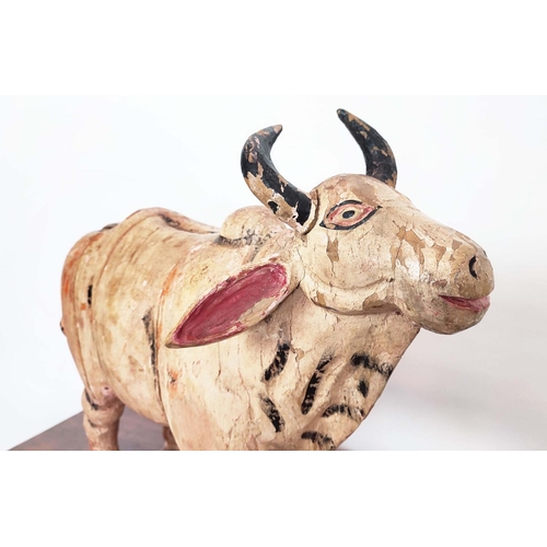 251 - CARVED COW, Indian painted, 48cm H x 30cm x 54cm.