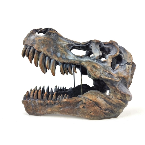 309 - CONTEMPORARY SCHOOL SCULPTURE, of a T Rex skull, painted resin, 38cm H x 52cm L.