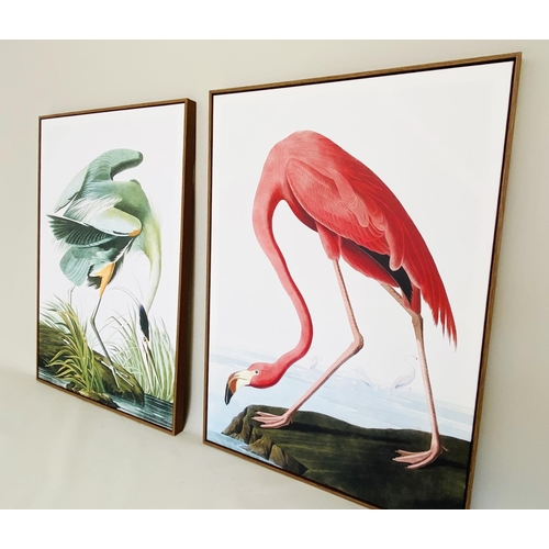 467 - AFTER JOHN JAMES AUBUDON CRANE AND FLAMINGO PRINTS, a set of two, 113cm H x 83cm. (2)