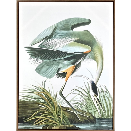 467 - AFTER JOHN JAMES AUBUDON CRANE AND FLAMINGO PRINTS, a set of two, 113cm H x 83cm. (2)