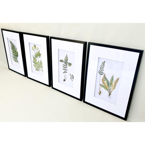 471 - BOTANICAL PRINTS, a set of four, framed and glazed, 70cm H x 50cm. (4)