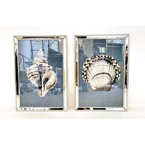 480 - SEA SHELL PRINTS, two differing framed, 67cm H x 46cm. (2)