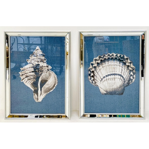 480 - SEA SHELL PRINTS, two differing framed, 67cm H x 46cm. (2)