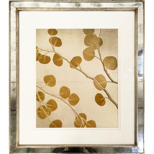 47 - TROWBRIDGE GALLERY, 'Botanical' prints, a set of three, each overall 82cm x 72cm. (3)